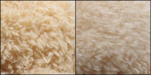 ぽね様毛並みふわふわ