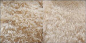 ぽねまる様毛並みふわふわ