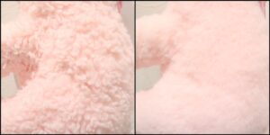 なつみ様毛並みふわふわ