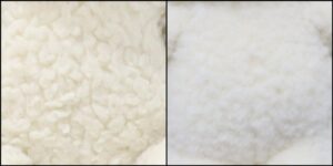 くまくん毛並みふわふわ