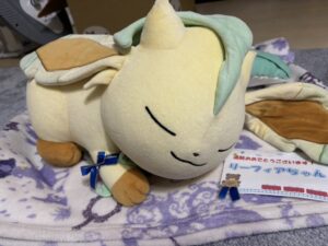 リーフィアちゃん帰宅後写真