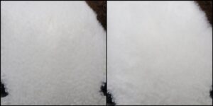 こちゃろ様毛並みふわふわ