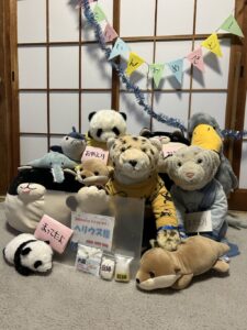 ヘリウス様帰宅後写真