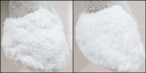 もんもん様毛並みふわふわ