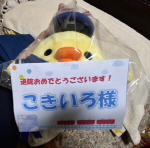 こきいろ様帰宅後写真