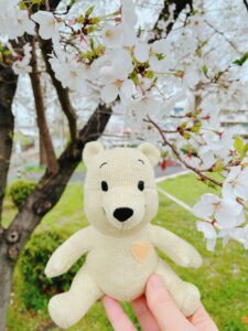 くぷすくん帰宅後写真