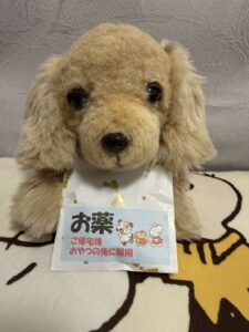 クッキー様帰宅後写真