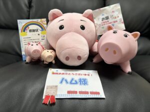 ハム様帰宅後写真