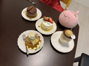 なすのにゃーにゃー様帰宅後写真
