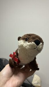うそぽん様帰宅後写真