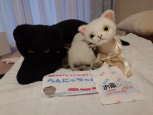 らんにゃちゃん帰宅後写真