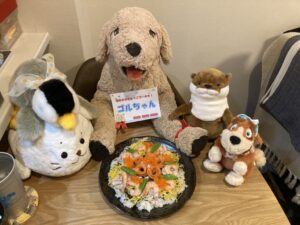ゴルちゃん帰宅後写真
