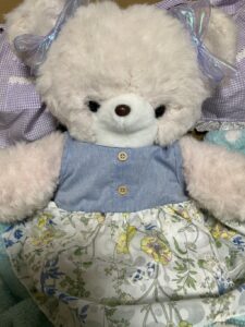 ベベちゃん帰宅後写真