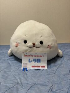 しろ様帰宅後写真