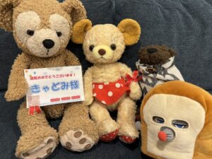 きゃどみ様帰宅後写真