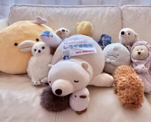 しろくま先生帰宅後写真