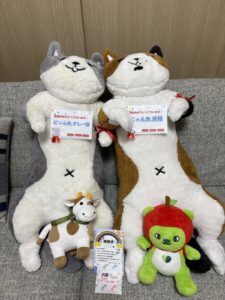 にゃん太様帰宅後写真