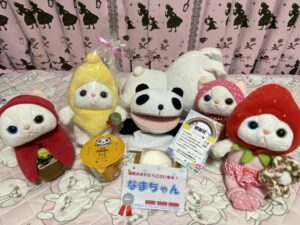なまちゃん帰宅後写真