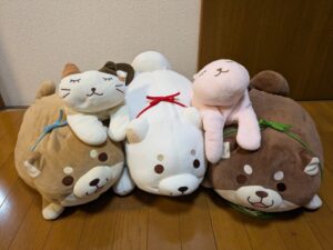 うめ様帰宅後写真