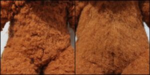 ポビィ様毛並ふわふわ治療