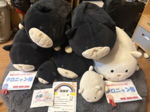 クロニャン様&シロニャン様帰宅後写真
