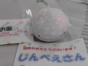 じんべえさん帰宅後写真
