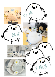 ちいちゃん帰宅後写真