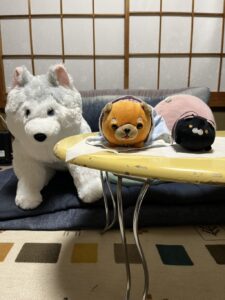 ポチ様＆チロル様帰宅後写真