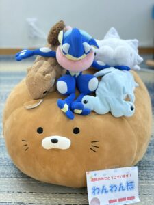 わんわん様帰宅後写真