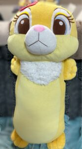 うさちゃん帰宅後写真