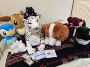 アルヴ様帰宅後写真