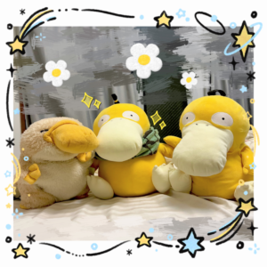 コダック様帰宅後写真