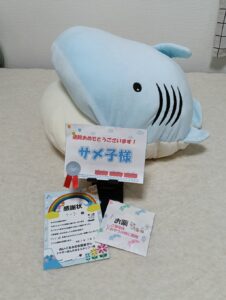 サメ子様帰宅後写真