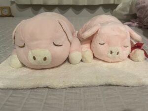 さえこ様帰宅後写真