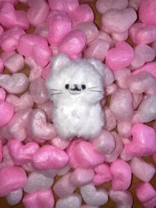 しろねこちゃんk帰宅後写真