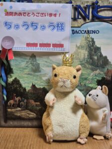 ちゅうちゅう様帰宅後写真