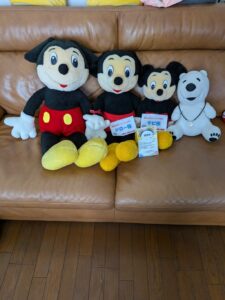 ジロー様＆チビ様帰宅後写真