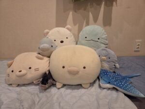 ペン様帰宅後写真