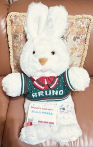 Bruno de ウサギさん帰宅後写真