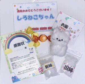 しろねこちゃん帰宅後写真