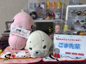 ごま先輩帰宅後写真