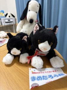 まめたろう様帰宅後写真