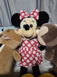 ミニーちゃん帰宅後写真