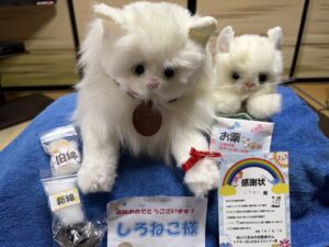 しろねこ様帰宅後写真