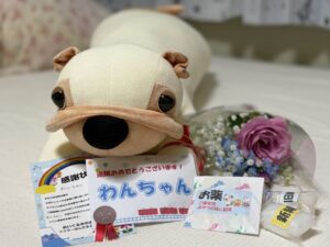 わんちゃん帰宅後写真
