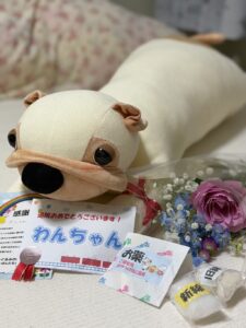 わんちゃん帰宅後写真