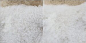 くま様毛並ふわふわ治療