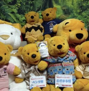 むぎまる様&ペンタ様帰宅後写真